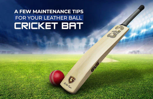 Maintenance Tips for Your Leather Ball Cricket Bat Last for Years