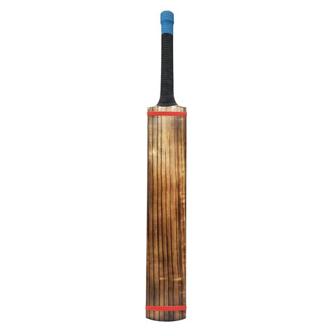 GLS Black Bull 2.0 Kashmir Willow Scoop Cricket Bat